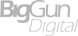 BigGun Digital