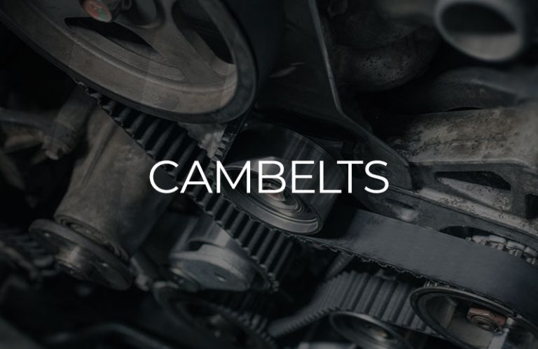 Service-Module-Cambelts-01