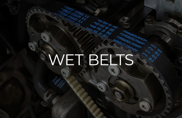Service-Module-Wet-Belt-01